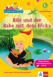 Cover von Bibi und der Rabe mit dem Hicks