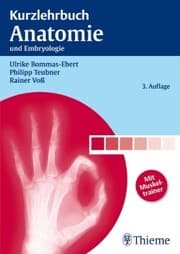 Cover von Kurzlehrbuch Anatomie
