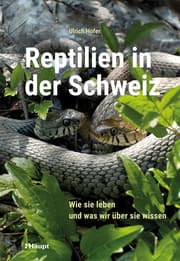 Cover von Reptilien in der Schweiz