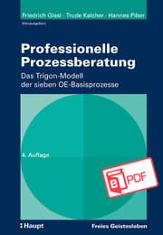 Cover von Professionelle Prozessberatung