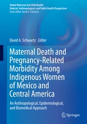 Cover von Maternal Death and Pregnancy-Related Morbidity Among Indigenous Women of Mexico and Central America