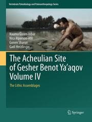 Cover von The Acheulian Site of Gesher Benot Yaaqov Volume IV
