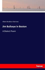 Cover von Jim Bullseye in Boston