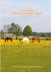 Cover von Wie kommt das Pony auf den Gnadenbrothof?