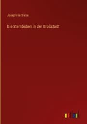Cover von Die Sternbuben in der Großstadt