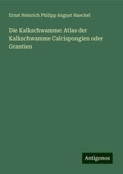 Cover von Die Kalkschwamme: Atlas der Kalkschwamme Calcispongien oder Grantien