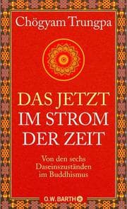 Cover von Das Jetzt im Strom der Zeit
