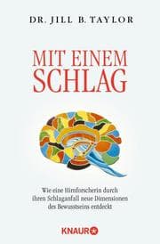 Cover von Mit einem Schlag