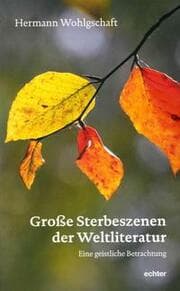 Cover von Große Sterbeszenen der Weltliteratur