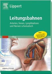 Cover von Leitungsbahnen