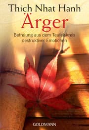 Cover von Ärger