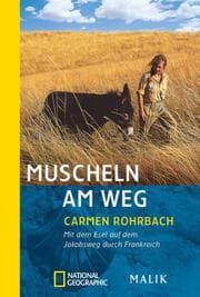 Cover von Muscheln am Weg
