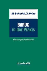 Cover von BilRUG in der Praxis