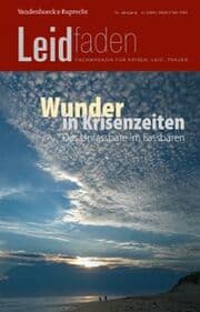 Cover von Wunder in Krisenzeiten - Das Unfassbare im Fassbaren