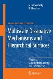 Cover von Multiscale Dissipative Mechanisms and Hierarchical Surfaces