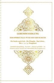 Cover von Lebenswandlung - Der spirituelle Pfad des Erwachens