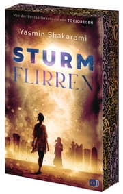 Cover von Sturmflirren