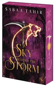 Cover von A Sky Beyond the Storm