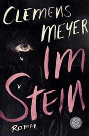 Cover von Im Stein