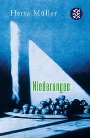 Cover von Niederungen