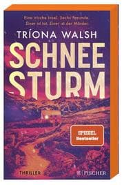 Cover von Schneesturm