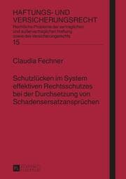 Cover von Schutzlücken im System effektiven Rechtsschutzes bei der Durchsetzung von Schadensersatzansprüchen