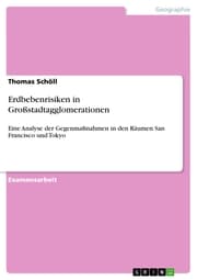 Cover von Erdbebenrisiken in Großstadtagglomerationen