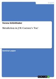 Cover von Metafiction in J.M.Coetzee's 'Foe'