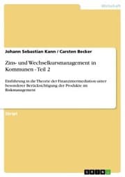 Cover von Zins- und Wechselkursmanagement in Kommunen - Teil 2
