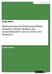 Cover von Wahrnehmung und Erinnerung in Walter Benjamins 'Berliner Kindheit um neunzehnhundert' und der 'Lehre vom Ähnlichen'