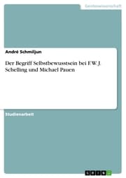 Cover von Der Begriff Selbstbewusstsein bei F. W. J. Schelling und Michael Pauen