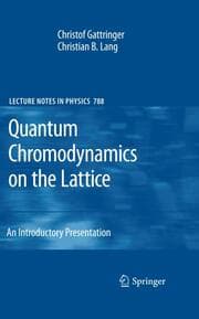Cover von Quantum Chromodynamics on the Lattice