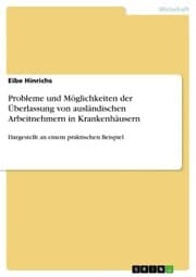 Cover von Probleme und Möglichkeiten der Überlassung von ausländischen Arbeitnehmern in Krankenhäusern