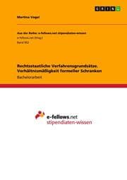 Cover von Rechtsstaatliche Verfahrensgrundsätze.Verhältnismäßigkeit formeller Schranken
