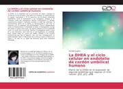 Cover von La DHEA y el ciclo celular en endotelio de cordón umbilical humano