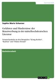 Cover von Gefahren und Hindernisse der Brautwerbung in der mittelhochdeutschen Literatur