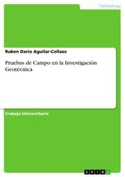 Cover von Pruebas de Campo en la Investigación Geotécnica