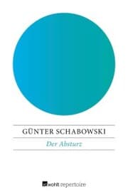 Cover von Der Absturz