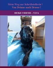 Cover von Von Drinne nach Drusse !