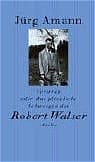 Cover von Verirren oder Das plötzliche Schweigen des Robert Walser