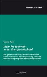 Cover von Mehr Produktivität in der Energiewirtschaft?