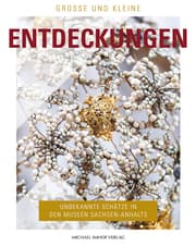 Cover von Unentdeckte Schätze in den Museen Sachsen-Anhalts