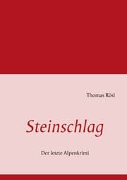 Cover von Steinschlag