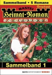 Cover von Heimat-Roman Treueband 1