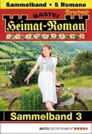 Cover von Heimat-Roman Treueband 3