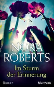 Cover von Im Sturm der Erinnerung