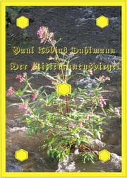 Cover von Der Ritterinnenspiegel