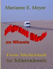 Cover von Migrant Birds on Wheels