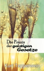 Cover von Die Praxis der geistigen Gesetze