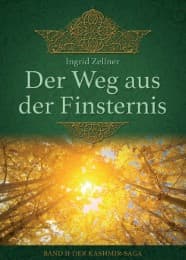 Cover von Der Weg aus der Finsternis